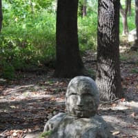 花博記念公園鶴見緑地の自然いろいろ（２）