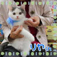 家族が決まりました♪リヤくん☆