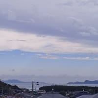 2022/11/01