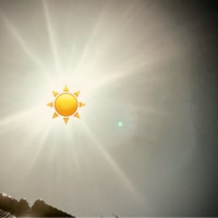 今日いち-2024年11月29日