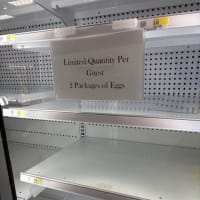 卵の行方は