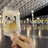 「くず餅アイス食べた」