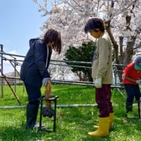 4日目片付けと最後のひと遊び　春のおでかけ＆カヌーキャンプ