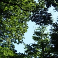 野幌森林公園と新北のうた暦と