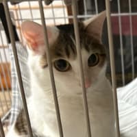 メイちゃんから『お久しぶりです。』