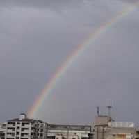 虹を見たかい？