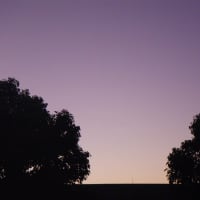 今朝の空（ Light purple ! ）