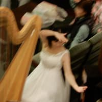 信州長期滞在の旅　第五日目　ハープの生演奏　2019.10.18　「26」　cafe  de  harp  白馬樅ノ木