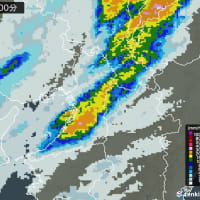 突然の雨２０２５．６