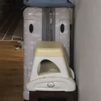視線を感じて