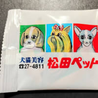 令和７年２月１３日 宗祖 日蓮大聖人 御命日 唱題会