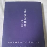 瀬下坐髙句集『問答無用』
