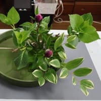 たてる、かたむける、観水型