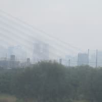 雨の上がるを待って散歩に出たが雨に降られる