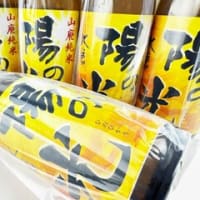 『2025年2月19日蔵出し　2024 大倉　山廃純米　陽の光　直汲み無濾過生原酒（自家栽培米ひのひかり使用）』