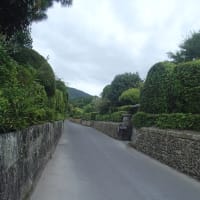 うふふぅ♪なんでかの鹿児島旅行(笑)