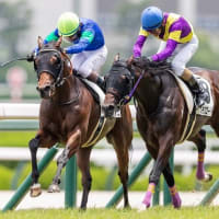 【コンタンゴ】暑さに負けず元気、来週の小倉1200ｍ戦へ！