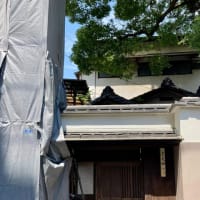 三光園その後！【福岡市社交ダンス教室・福岡市社交ダンススタジオ・薬院、渡辺通、柳橋・福岡のダンススクールライジングスター】