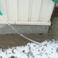 今年も宜しくお願いします