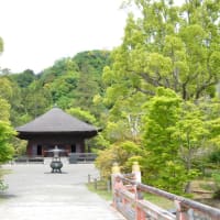 397. 雲蝶彫刻を訪ねる旅5日目　最終日