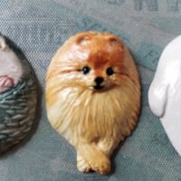 可愛いお買い物♪
