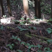 第2ベンチを越えて