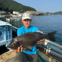9月8日　イカダ釣り釣果