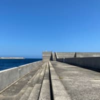 【浜田 オバセ波止】暇つぶし釣行