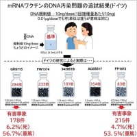 DNA組み込み注射実験（俗称コロワク）問題