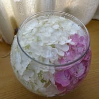 紫陽花