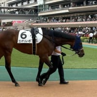 モルトマエストーソ＆コンテソレーラ　現地応援
