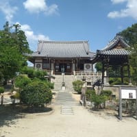 達磨寺(王子町)