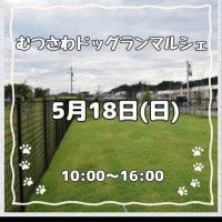 あと少しで むつさわドッグランマルシェ
5月18日(日)10:00～16:00 
ドッグラン無料
 入場無料
駐車場無料