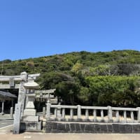 糸島、芥屋　🧄一袋百円。