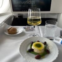 2025初夏のイタリア旅行（２）羽田→ローマ