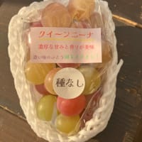 ぶどうの食べ比べ