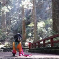 鳳来寺山へ