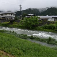 今日も雨