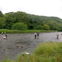 【釣】初心者鮎釣り教室　（2025/06/17　中津川　鮎）