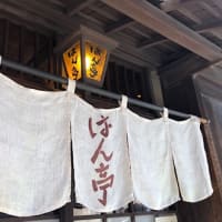 根津神社の躑躅と根津歩き