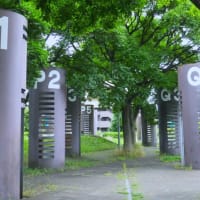 ぶら散歩～横浜ポートサイド公園