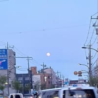 ８０．《　五七の雨に　六つ八つ風　》 　　言い伝えと日本書紀の記述