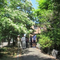 第3回走ろう会例会