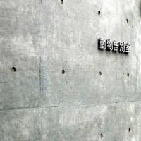 15才7か月15日・・・✨
