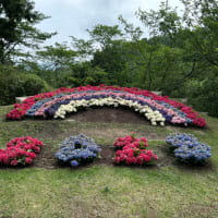 久し振りの墓参り