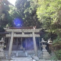 無料占い　あなたと相性のいい高次の存在は？