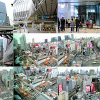 渋谷スクランブルスクエアとホメオパシー用賀店