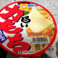 年明けうどん2025