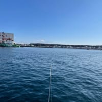 初釣り🎣