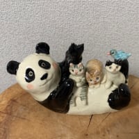 早い早い6月も早く過ぎて行く〜